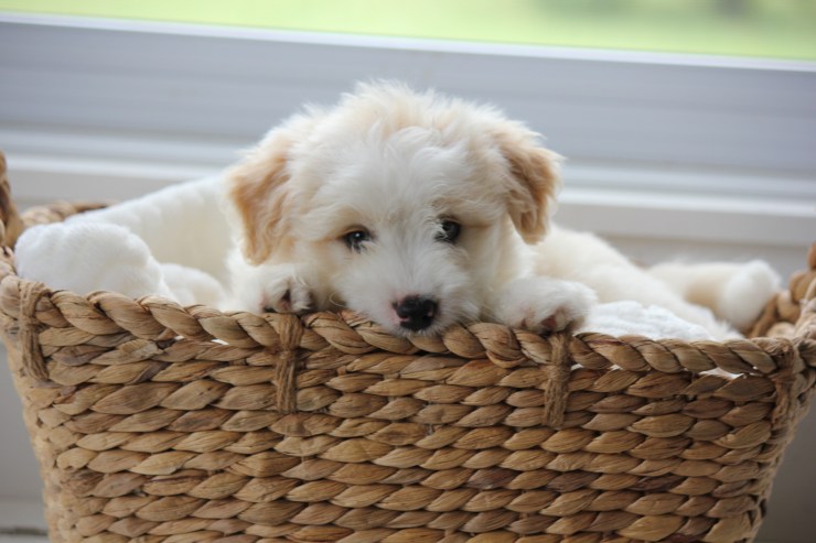 2A7E8285-4C4D-40BD-A1DD-1E79D09AE116