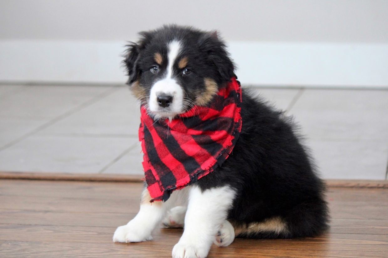 9f596c56-e6ab-4d56-a5cc-4d64ec7ccf94