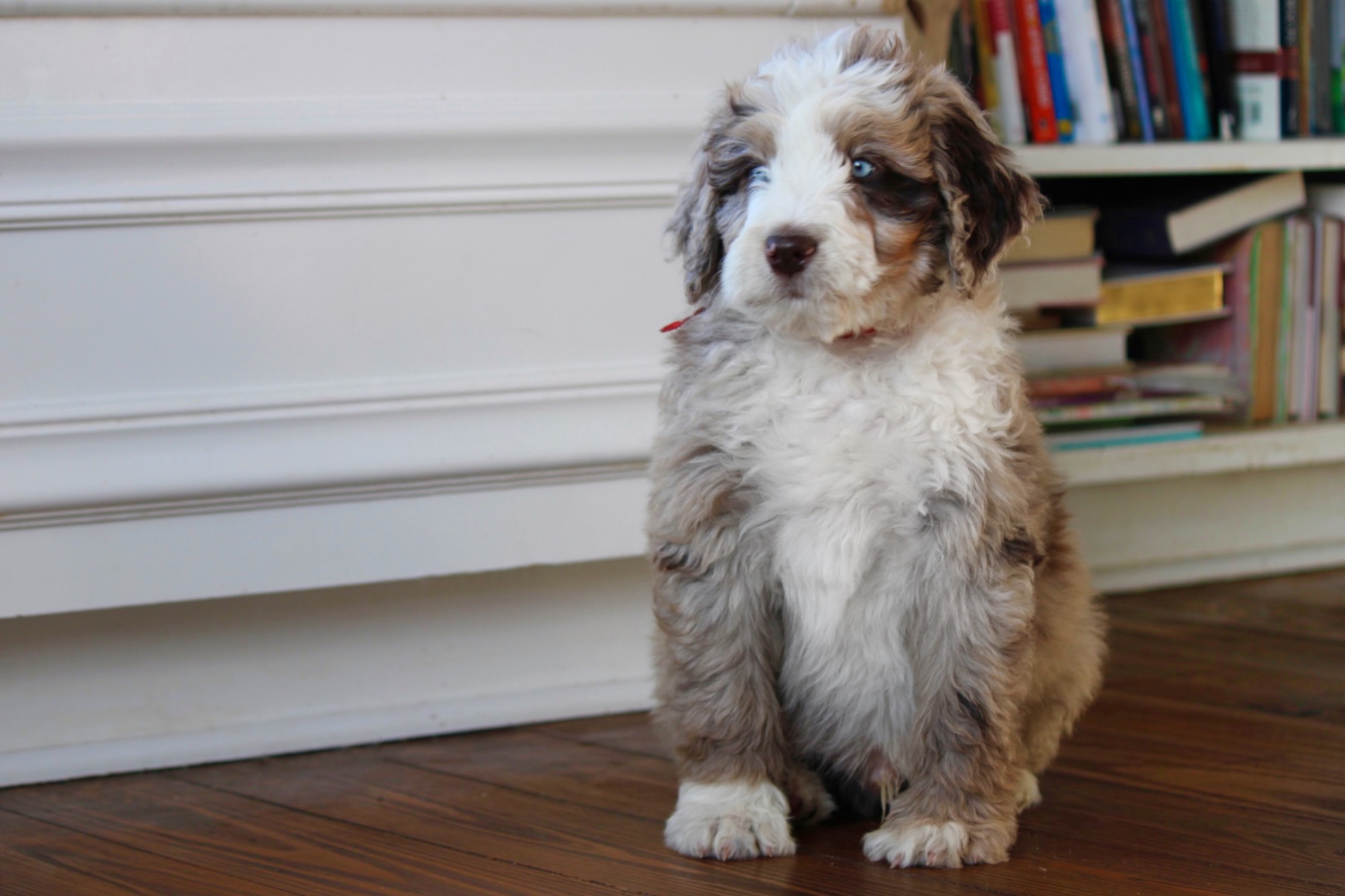 9A5BB9A7-AC9A-4FF1-ACC4-B5F1AF78DE6D