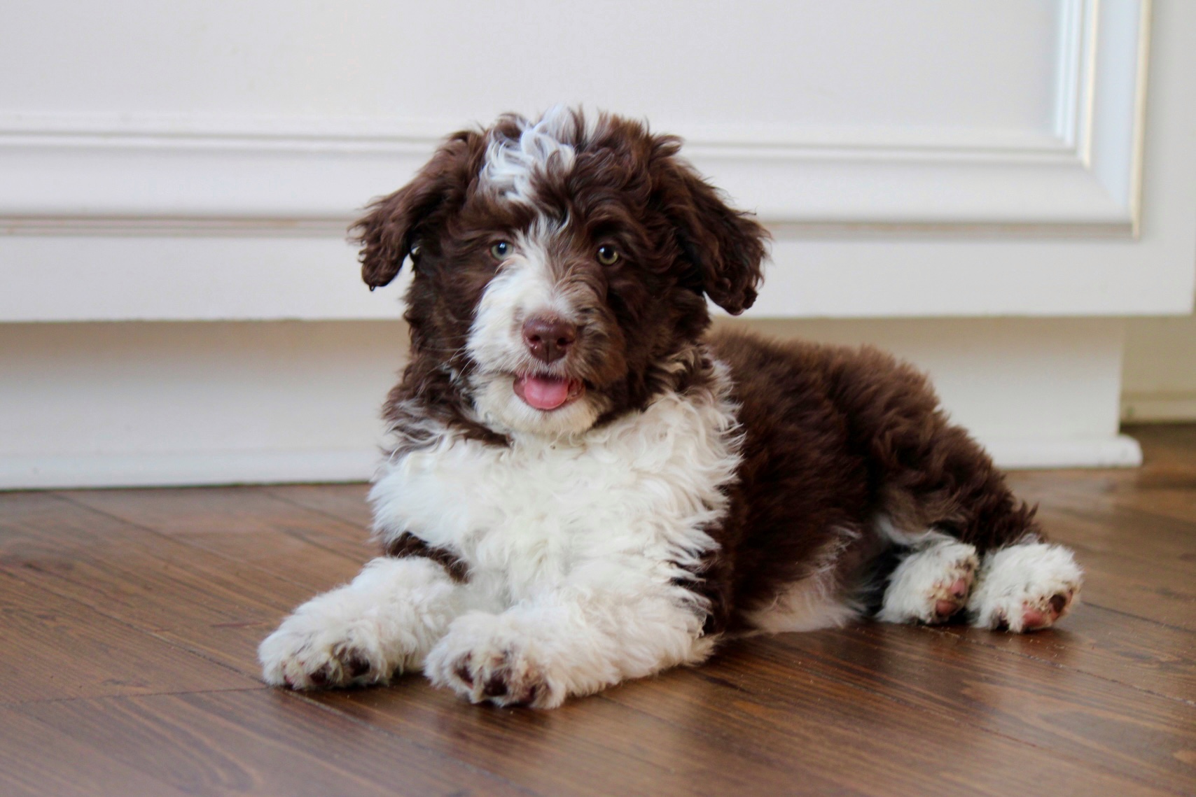 AD141A18-D1C9-4DCE-8E5F-5273FC717B94