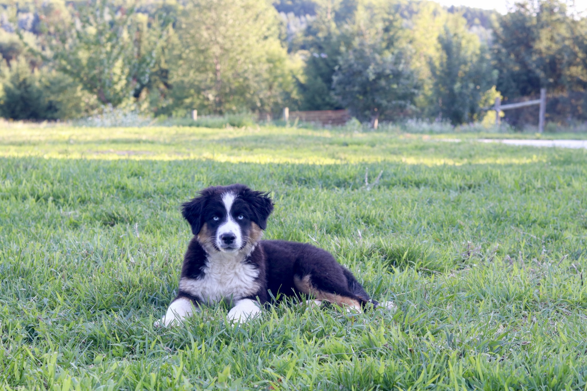 2A9FE6AA-62CC-4682-BC46-3B4E265FD89E