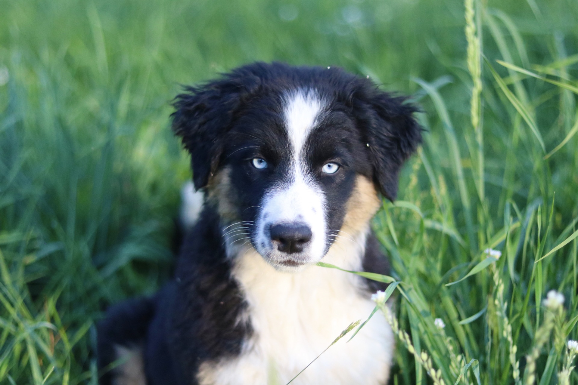 5A8243BD-AE9F-467C-9811-AA595FD4726C