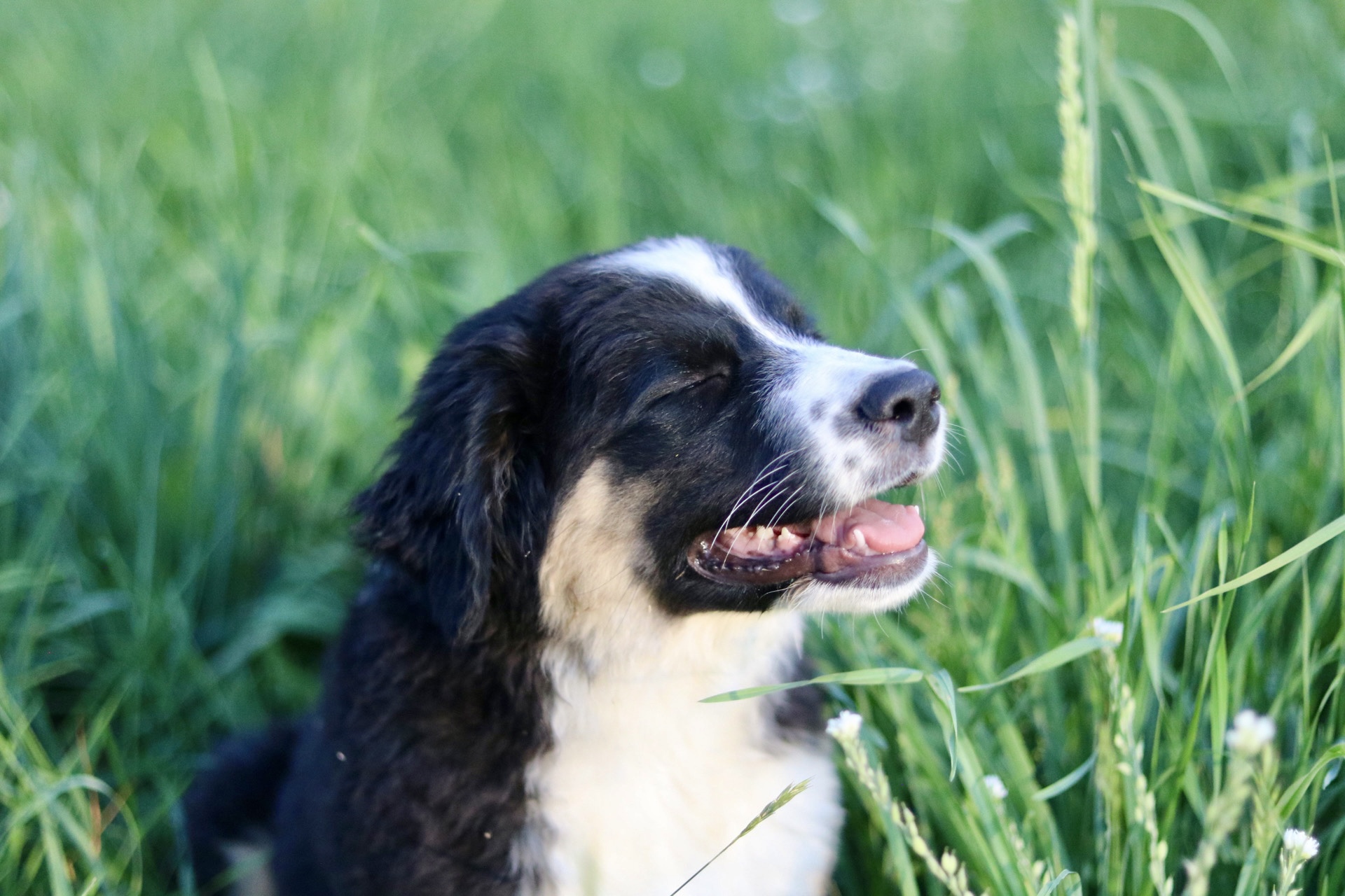 C384F9E0-560B-4AAE-9AF8-9B6B4630040E