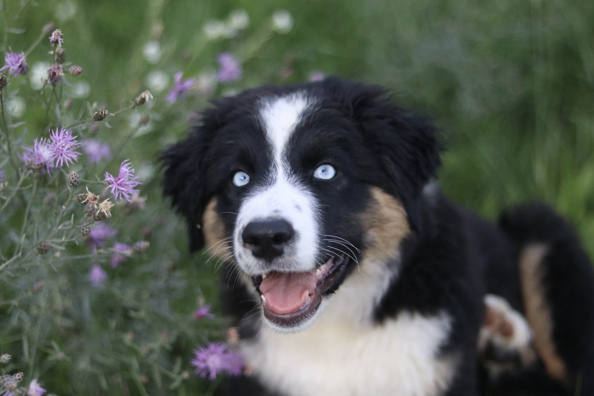 CB5C985E-22CC-4A25-92AA-16F0106B8AAF